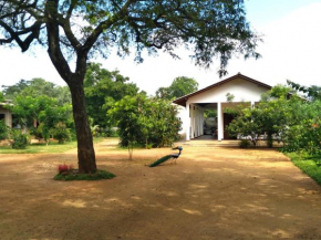 The Treasure - Habarana